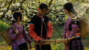 Vai trò của âm nhạc đối với con người qua các thời kì