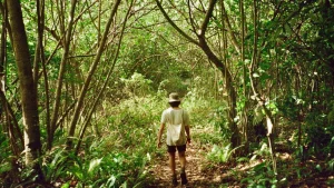 Cách nâng cao tần số đơn giản nhưng hiệu quả